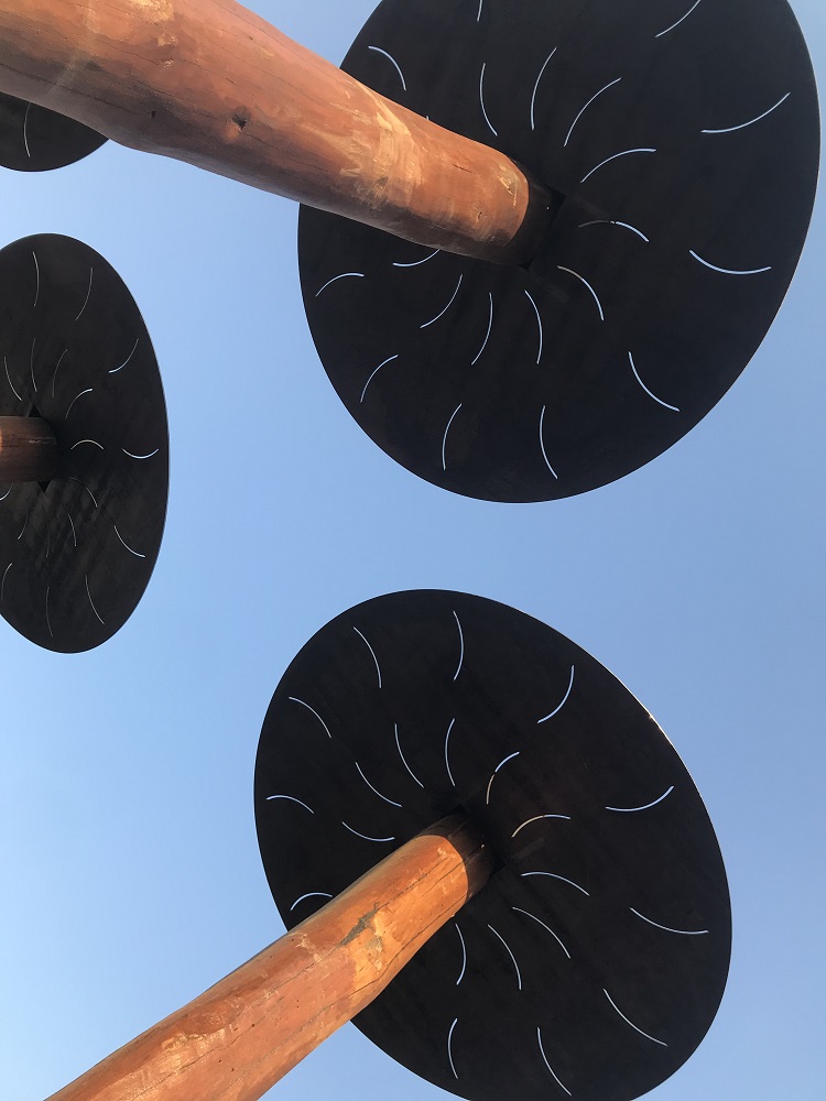 lyPa High Rope Climb