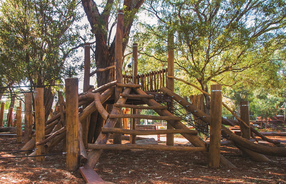 lyPa Subiaco Climber