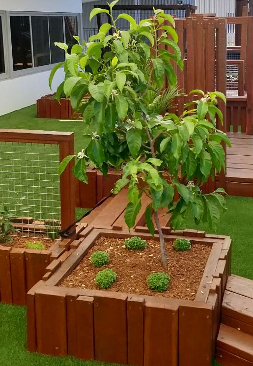 lyPa Timber Planter