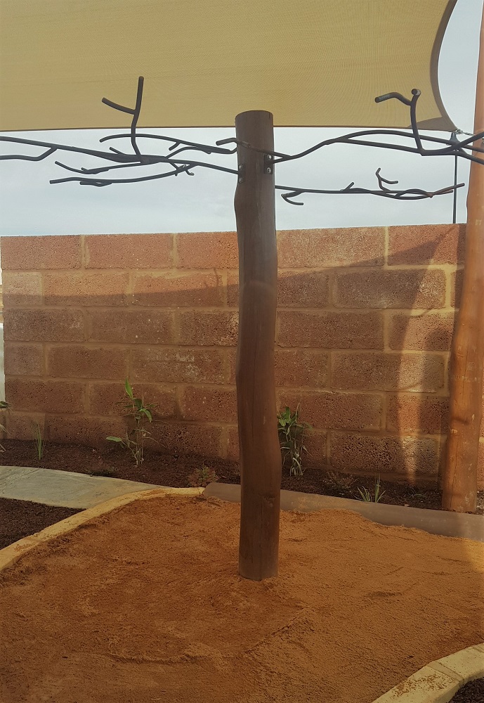 lyPa Wishing Tree